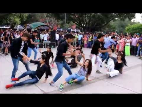 FLASHMOB | 17 SECTOR CHANDIGARH | THE DANCE MAFIA, RIPANPREET SIDHU',9501915706