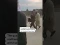 Earthquake strikes northeast Afghanistan