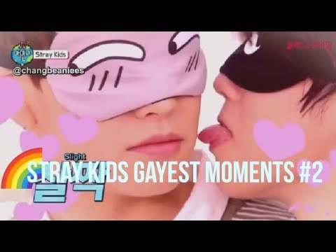 STRAY KIDS GAYEST MOMENTS #2