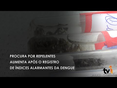 Vídeo: Procura por repelentes aumenta após o registro de índices alarmantes da Dengue