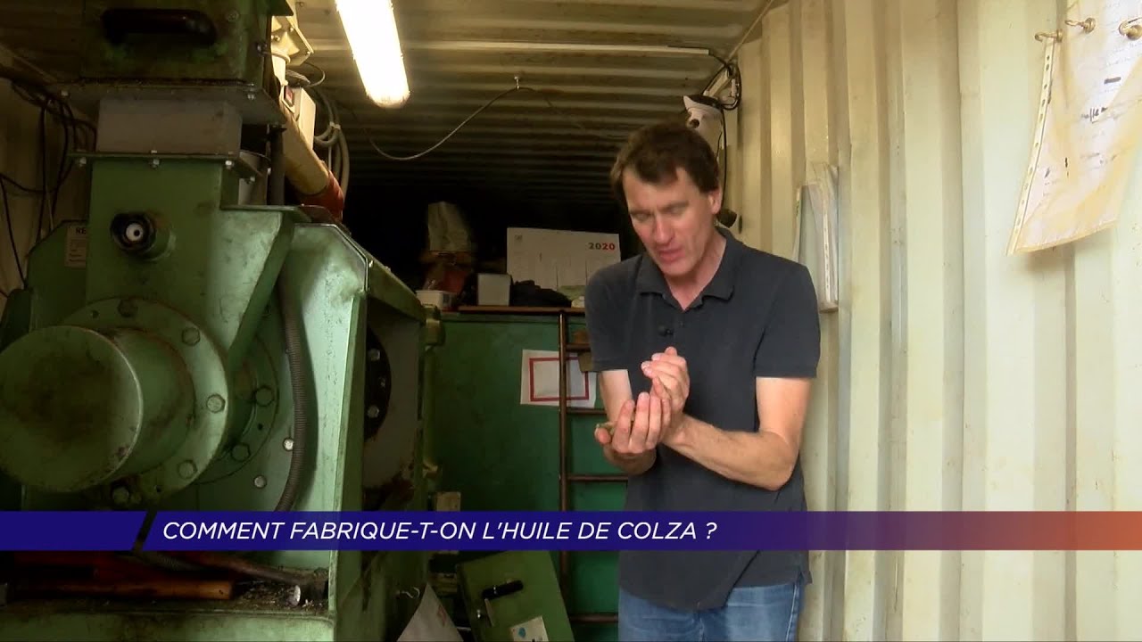 Yvelines | Comment fabrique-t-on l’huile de colza?