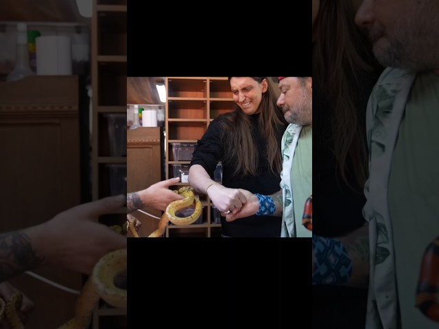 Felca foi mordido pela cobra do Richard!