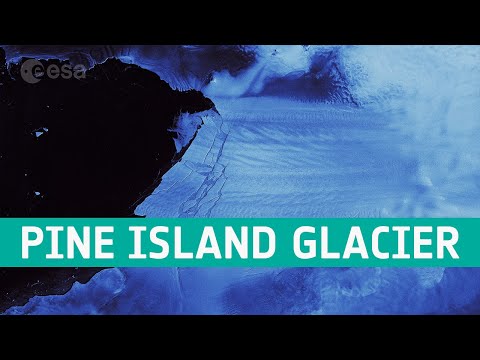 Pine Island Glacier spawns piglets, Antarctica 