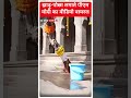 PM Modi Viral Video: पीएम मोदी का झाड़ू-पोछा लगाते वी़डियो वायरल | #abpnewsshorts