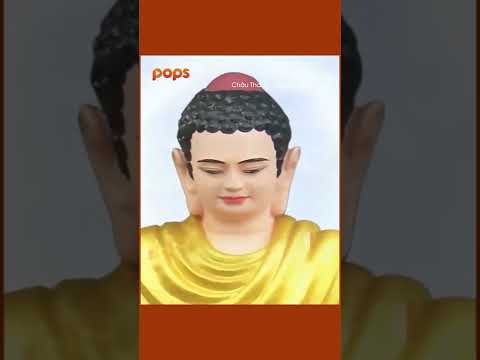 Khúc nhạc Phật cuối ngày để tâm thanh tịnh | Tạ Ơn Từ Phụ