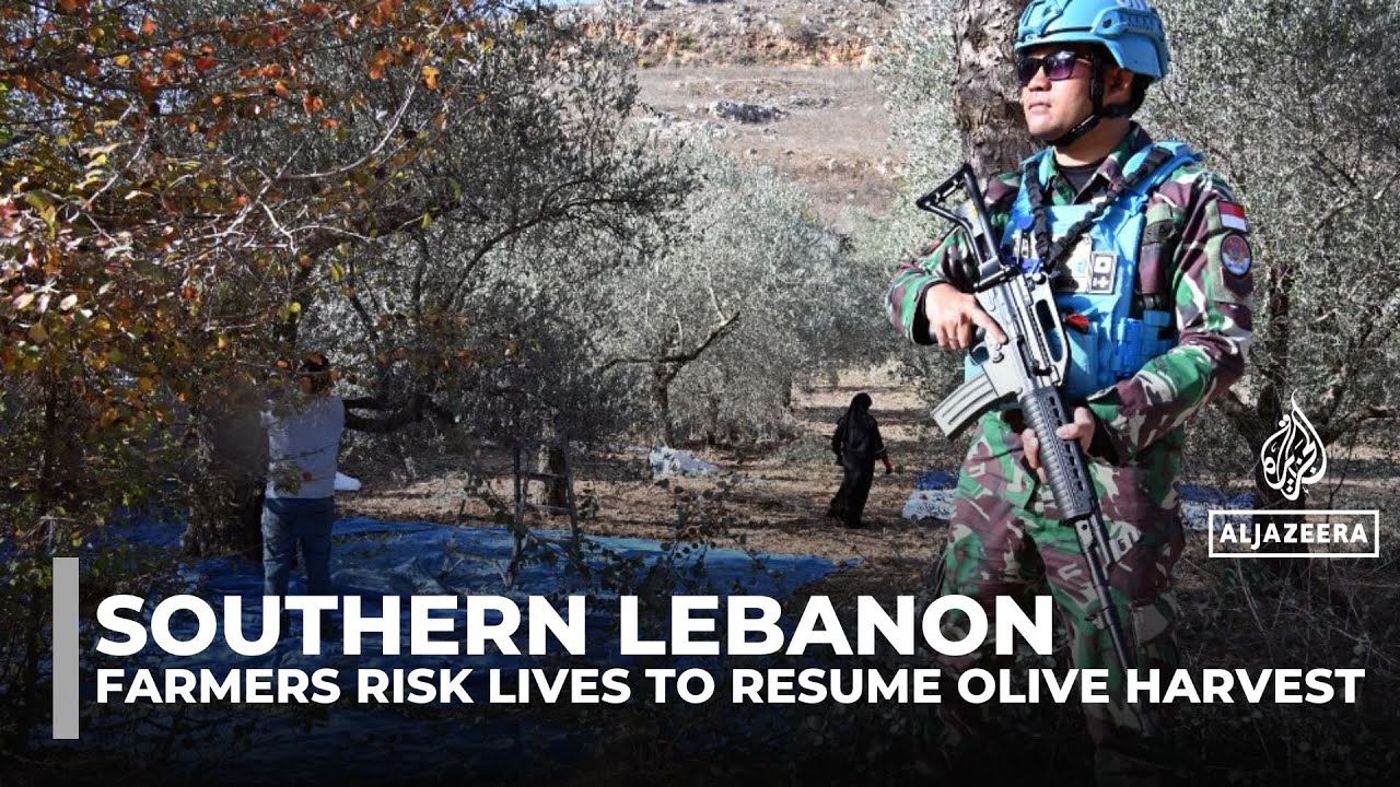 Lebanese farmers harvest olives under UN watch near volatile Israeli border