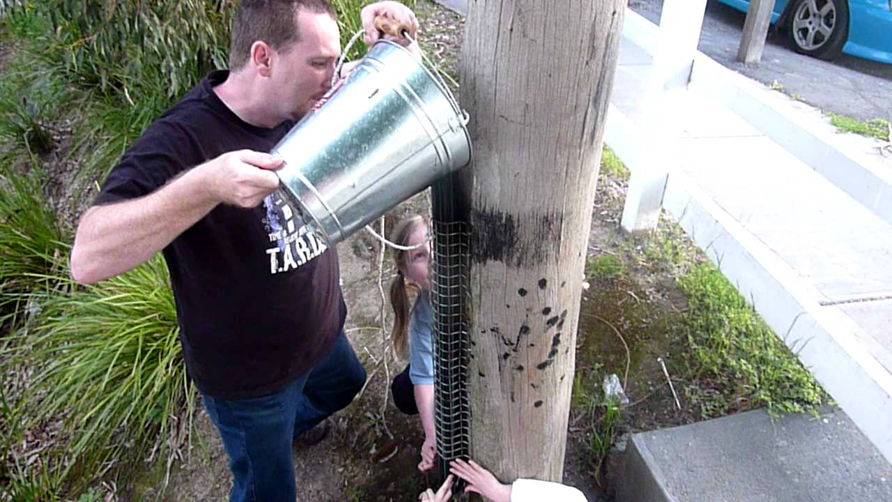 Best geocache ever - YouTube