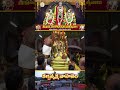 కల్పవృక్ష వాహనం || శ్రీ ప్రసన్న వేంకటేశ్వరస్వామి బ్రహ్మోత్సవాలు | అప్పలాయగుంట || SVBC TTD  - 00:59 min - News - Video