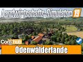 Odenwälderlande v1.0.5