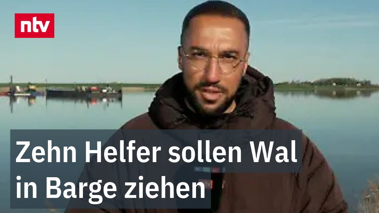 Wie der Rettungsversuch des gestrandeten Buckelwals läuft, erklärt Reporter Kayed | ntv