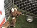 sans maman pour la première fois...