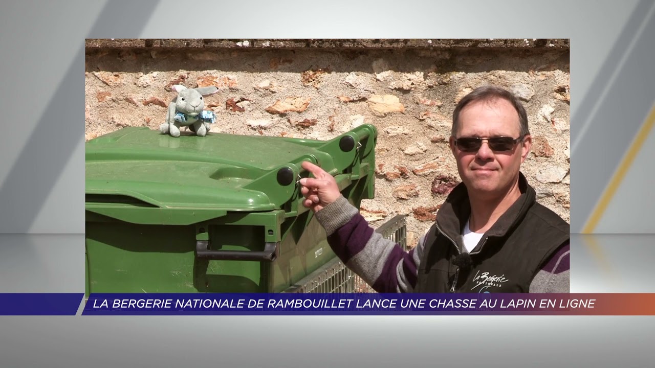 Yvelines | La bergerie nationale de Rambouillet lance une chasse au lapin en ligne