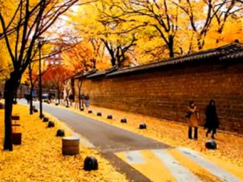 이문세 - 광화문 연가 光化門恋歌 (1988)