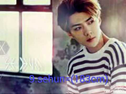 EXO HEIGHT RANKING