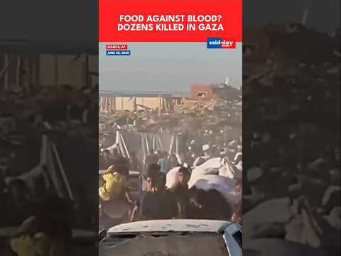 Dozens killed by IDF while seeking food in Gaza as US envoy heads to Israel 14 thousand views  play Short