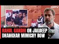 Rahul Gandhis First Reaction On Jagdeep Dhankhar Mimicry Row
