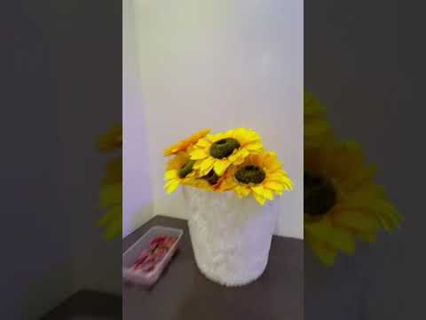 Video af overnatningsstedet