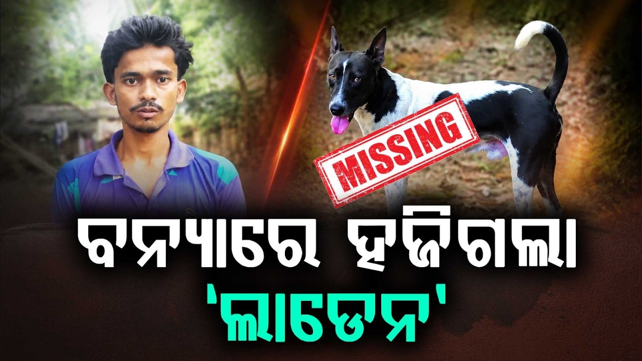 Heartbreaking Search: Owner Pastes Posters In Bhadrak To Find Missing Pet Dog 'Laden' | Argus News