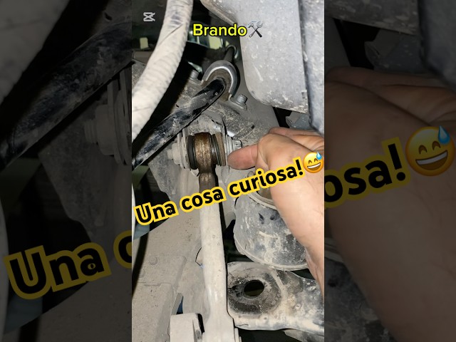 Alfa Giulia e Stelvio…lo fanno dietro!