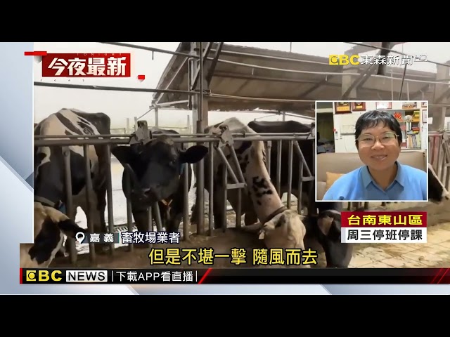 40年最慘！嘉義畜牧場屋頂掀翻 損失千萬@newsebc
