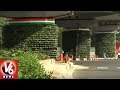 Delhi Metro's Pillars Go Green with a Vertical Makeover