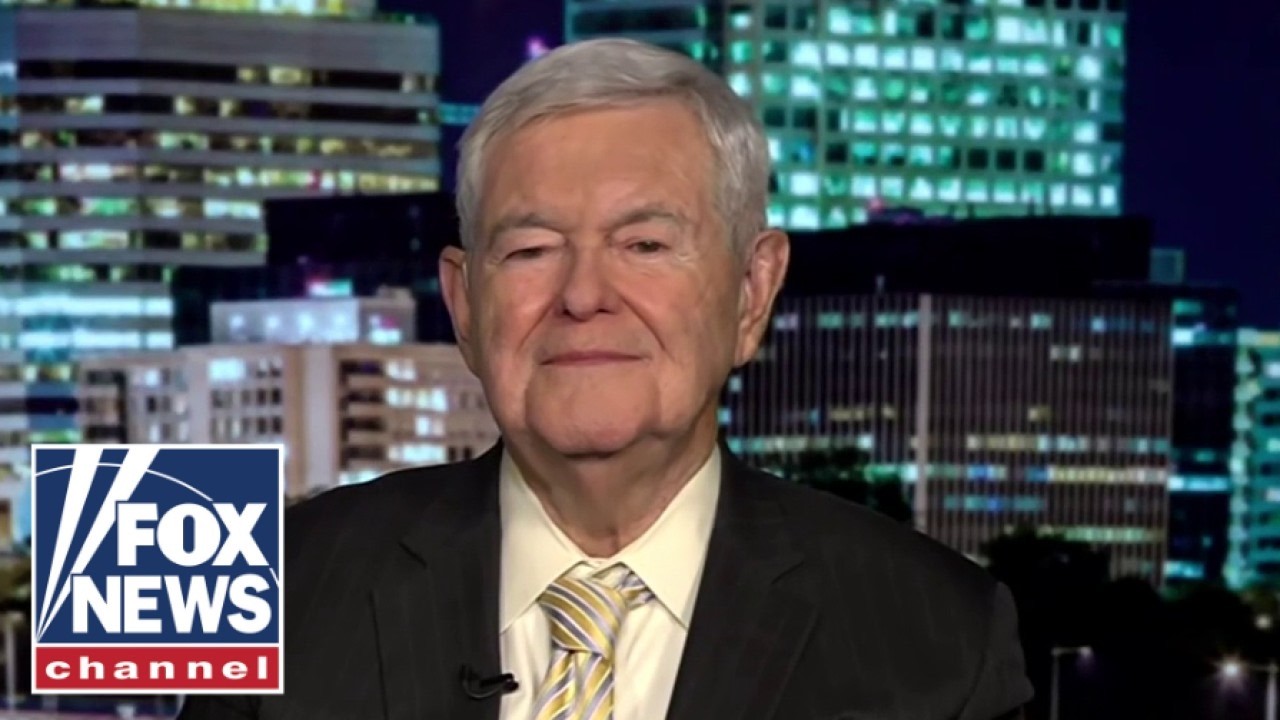 Newt Gingrich: These people are CRAZY