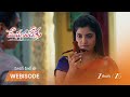 MEGHASANDESAM | బొమ్మతో శత్రువులను నాశనం చేయాలని చూస్తున్న అత్త