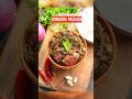 Gongura Roti Pachadi Recipe !!