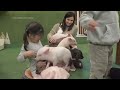 Why cuddling a pig might be good for you  - 00:48 min - News - Video