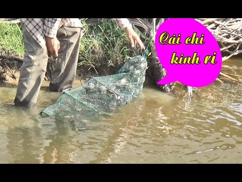 Giăng lưới 13 tầng ĐỊA NGỤC bắt cá và kết quả bất ngờ sau 1 đêm