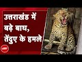 Uttarakhand Tiger Attack News: उत्तराखंड में इंसानी बस्तियों में बाघ और Leopard के हमले बढ़े