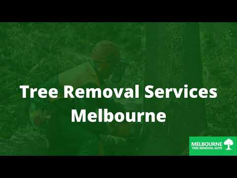 Tree Removal Services Melbourne Melbourne Tree Removal Guys
