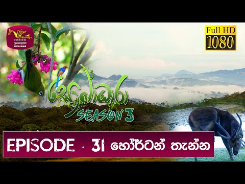 Sobadhara - Sri Lanka Wildlife Documentary | 2019-10-25 | ( හෝර්ටන් තැන්න ) Horton Plains