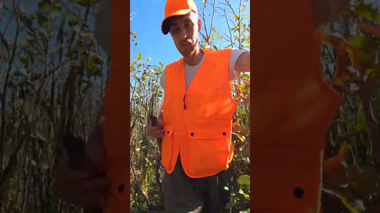 making my way through the bog