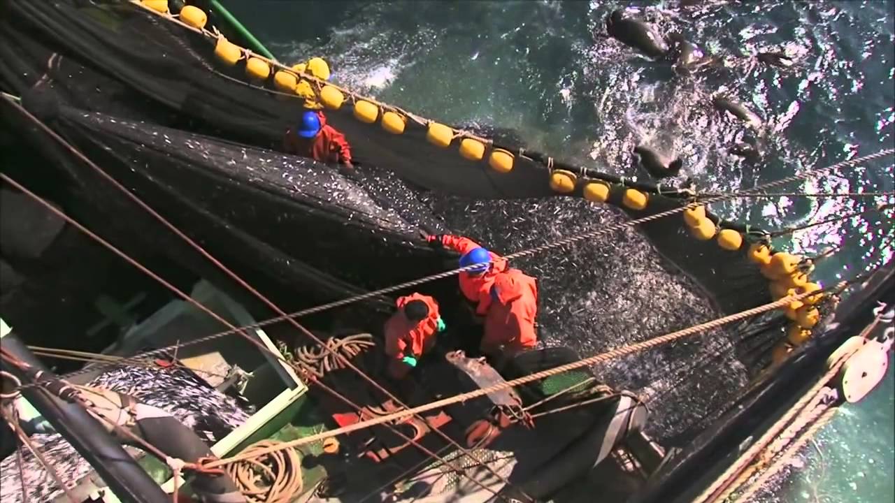 Bande Annonce de Planète Océan