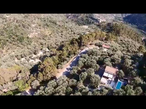 Property video