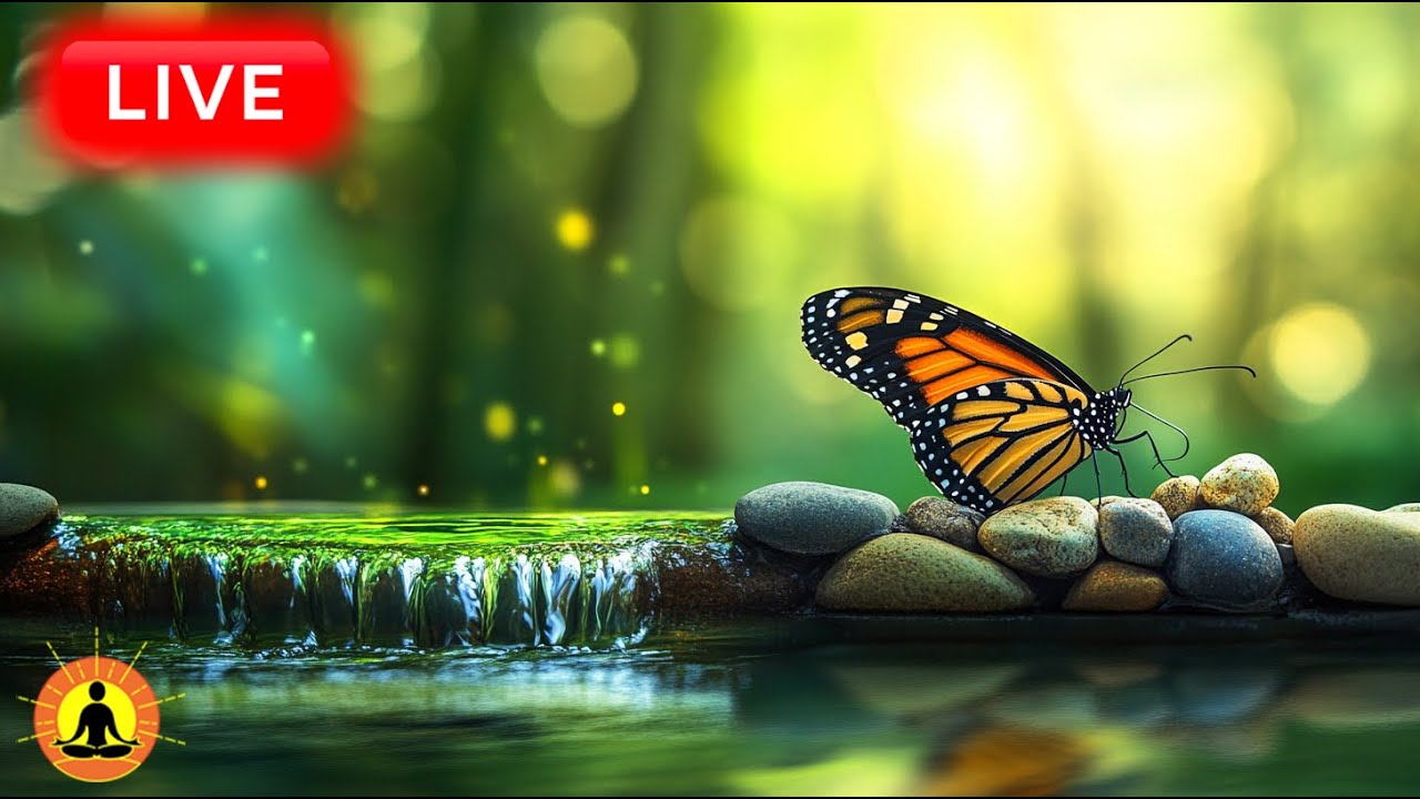 🔴 24 Hours of Relaxing Music for Inner Peace & Spiritual Growth | Miracle Healing Meditation Music