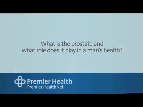 What is the prostate and what role does it play in a man's health? 