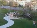 Raw: Tree falls on Kids Playing in Massachusetts park, video goes Viral