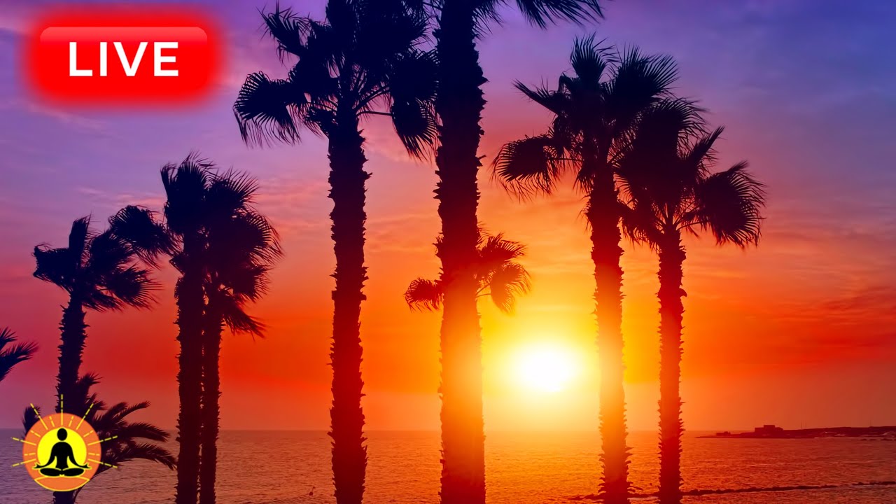 🔴 Relaxing Music for Deep Sleeping 24/7: Sunset Meditation Music for Spa, Study, Sleep & Relaxation