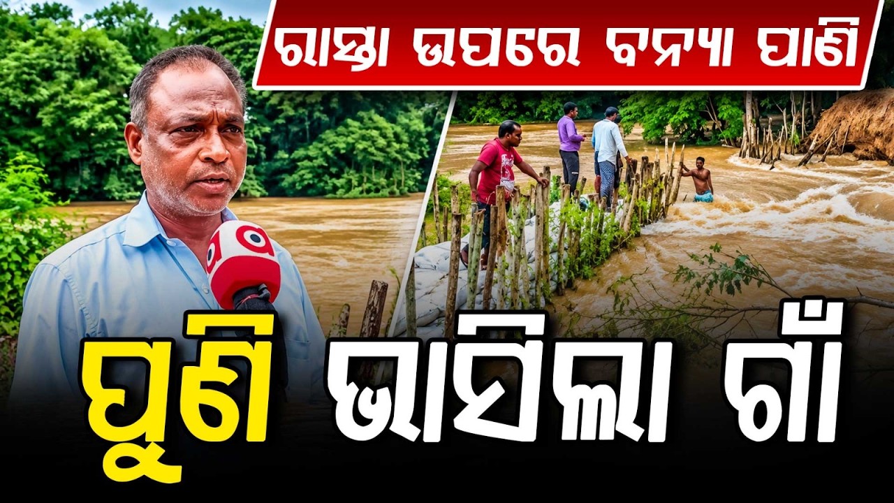 Athagarh Flood: 40-Foot Breach in Sapua River Destroys Crops | Argus News