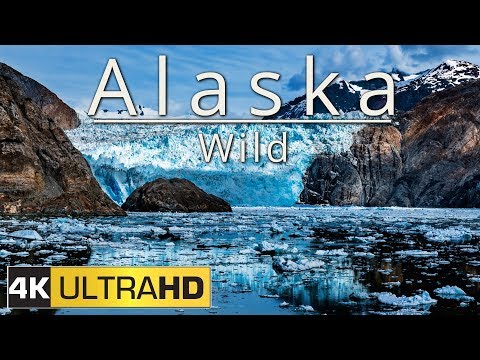 video Crucero por la fauna de Alaska