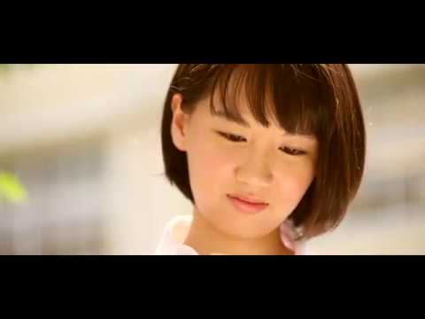 こころの花【Official Music Video】香川裕光