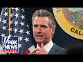 Gavin Newsom is the face of whats wrong with politics: Adam Carolla