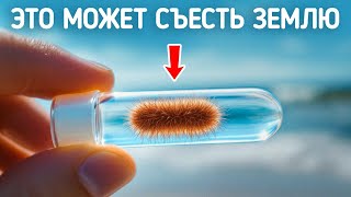 Эксперименты, которые могли бы привести к концу света