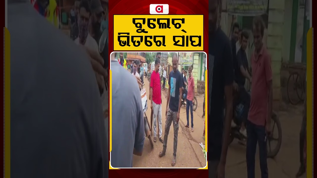ବୁଲେଟ୍ ଭିତରେ ସାପ | Snake Rescue | Snake In Bullet | Snake Video | Argus News