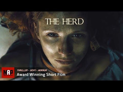 The Herd'