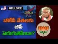 Debate on AP special status - Nellore