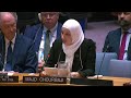 LIVE: UN Security Council meeting on Syria  - 02:19:59 min - News - Video