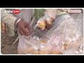 Barsana News: लड्डू मार होली समारोह में मची भगदड़, जानिए पूरी सच्चाई? | ABP News |  - 02:35 min - News - Video